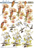 8215308 Kolibri und Orchideen