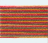 9851 Mettler Silk Finish Multi 100m