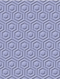 CR900033x Emboss A2 Hexagon Illusion