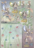 GL6025 Faeries