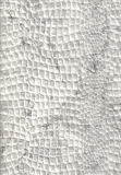 Krokodilpapier grau-weiss