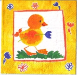 S 17 K�ken geht spazieren