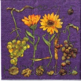 S 13 Trauben und Blumen