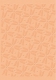 CR900055x Embossing Folder Funky Poinsetta