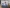 CD10198 Matrosen und Fische