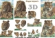 416944 Tiger und L�we