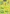 117145-1100 Reptil 117145-1100 Reptil