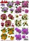 777442 Kleine Blumenmotive