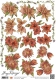 HJ9501 Amy Design Vintage-Blumen