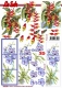 8215609 Blumen