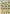 564 Eichh�rnchen und Blumen