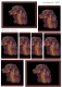 066665 Pyramidenbogen Hund