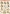 STSL842 Tiermotive STSL842 Tiermotive