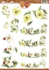 CD10351 Card Deco Artists Erica van Leeuwen Blumen