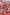LR0294 Creatables Rose