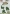 YCD10004 YC Magnificent Christmas Little Village YCD10004 YC Magnificent Christmas Little Village