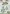 YCD10002 YC Magnificent Christmas Christmas star tree