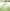 ADD10038 AD Animal Medley Parrot ADD10038 AD Animal Medley Parrot