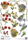 CD10593 A4 Wilde Blumen