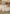 ADD10048 AD Stanzschablone Oud-Hollands Boer and Boerinnetje ADD10048 AD Stanzschablone Oud-Hollands Boer and Boerinnetje