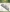 PM10068 PM StanzschabloneSpirit of Christmas Snowflakes Border PM10068 PM StanzschabloneSpirit of Christmas Snowflakes Border