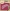 YCD10057 YC Stanzschablone Traditional Christmas Merry Christmas YCD10057 YC Stanzschablone Traditional Christmas Merry Christmas