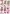 8215770 Clematis 8215770 Clematis