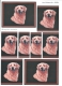 066664 Schneidebogen A4 Hund