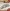 ADD10095 AD Stanzschablone Antique Car Border