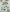 YCD10012 YC Stanzschablone Magnificent Christmas Candle Set