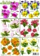 777400 6 x kleine Blumen
