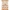 CD11196 YC Schneidebogen Fabulous Fall - Mini CD11196 YC Schneidebogen Fabulous Fall - Mini