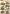 8215523 Meerschweinchen 8215523 Meerschweinchen