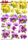 777333 3 verschiedene Blumen