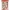CD11526 AD Schneidebogen Christmas Pets - Presents CD11526 AD Schneidebogen Christmas Pets - Presents