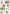 4169844 Wei�e Blumen