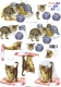 821549 Katzen und Strickwolle