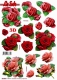 680004 Stanzbogen Rosen