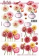 8215425 Blumen