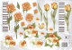 2295 Blumen auf dem Keyboard