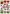 777381 Gro�e Bl�ten