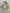 470.713.782 DDBD Card Art Accordion easter egg A5