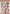 CD11228 YC Schneidebogen Prinzessin