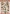 CD11229 YC Schneidebogen M�rchen