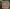 CD12030 YC Schneidebogen Zoo L�we
