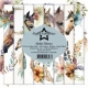 PF256 Papierpack Paper Favourites Boho Horses (Pferde)