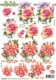 8215420 Rosen und Anemone