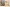 950115 Stanzbogen Set Hummel 950115 950115 Stanzbogen Set Hummel 950115