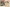 950117 Stanzbogen Set Hummel 950117