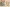 950123 Stanzbogen Set Hummel 950123